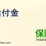 給付金とは