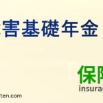 障害基礎年金とは