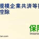 小規模企業共済等掛金控除とは