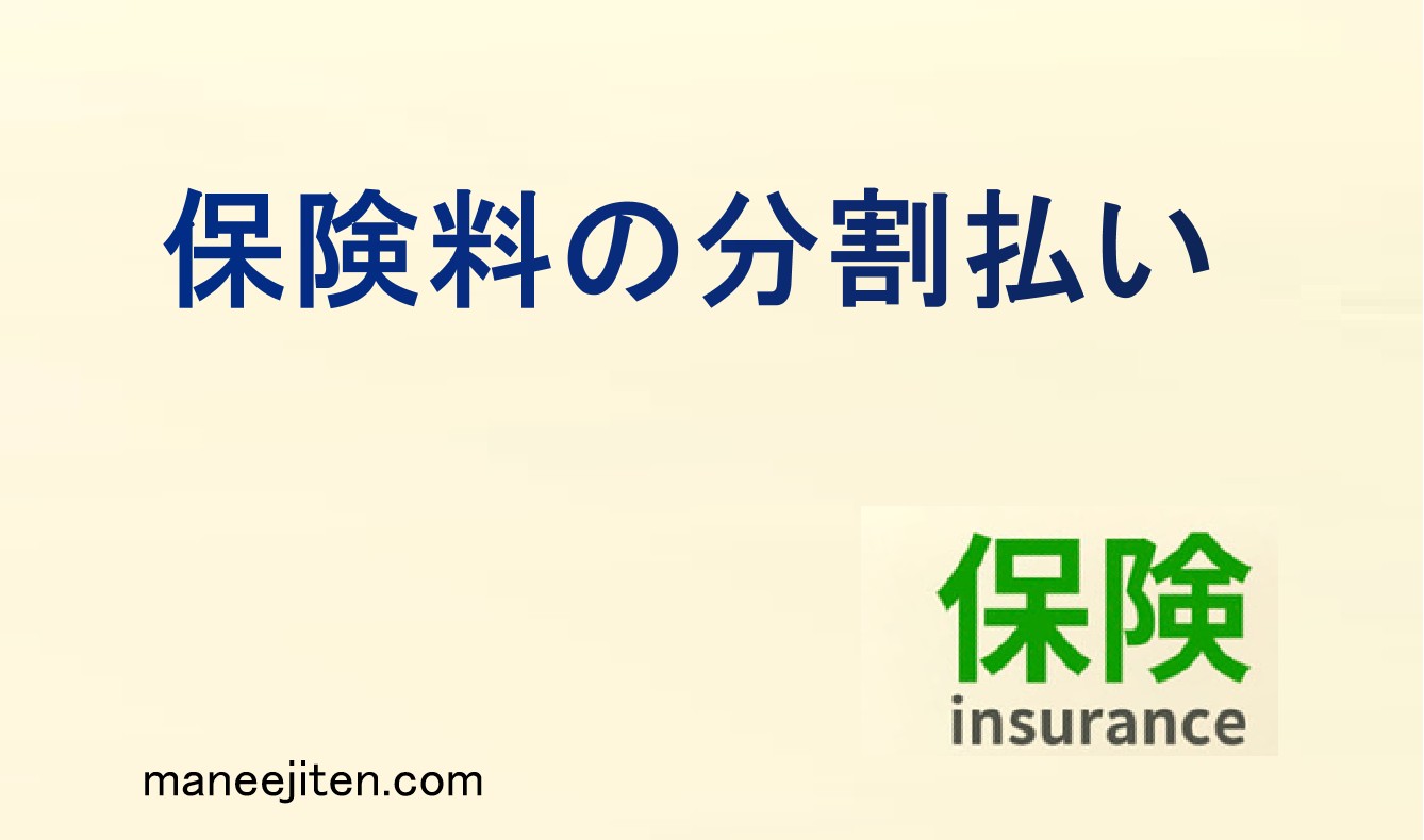 保険料の分割払いとは