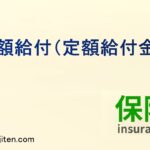 定額給付（定額給付金）とは