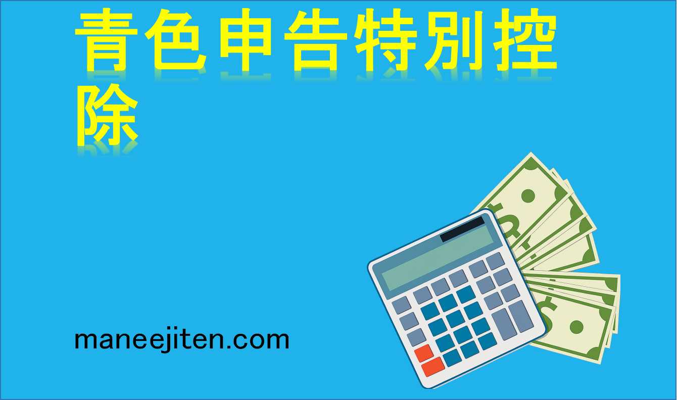 青色申告特別控除とは