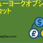 ニューヨークオプションカットとは