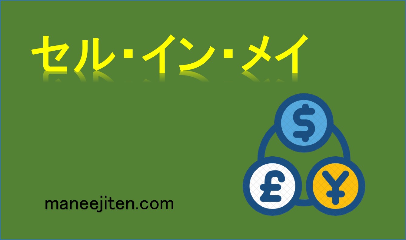 セル・イン・メイとは